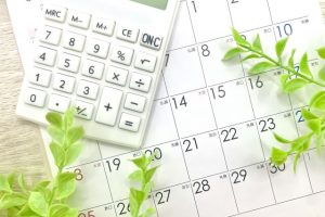 2. 月額利用料（月額費用）