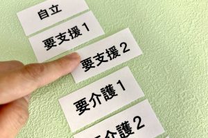 要介護2