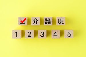 要介護1
