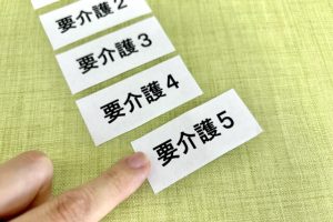 介護保険制度で利用できるサービス