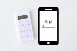 月額費用の相場と内訳