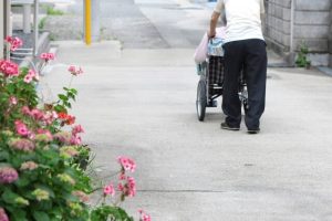 老老介護の心配がなくなる