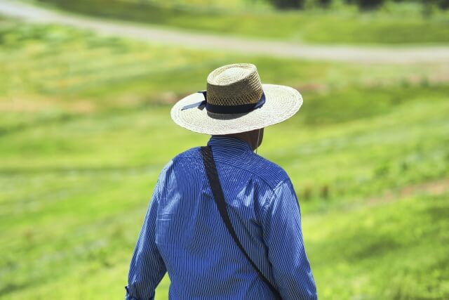 老人ホームは外出禁止？外出できないケースを詳しく紹介