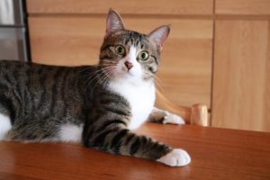 先々のことを決めておくことが大切