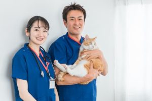ペット可の老人ホームの種類は？選び方を解説