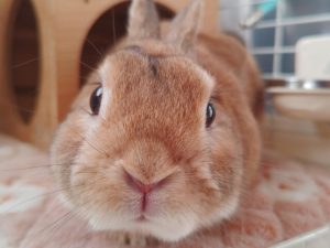 その他の施設を選ぶ