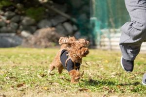 サービス付き高齢者向け住宅を選ぶ