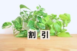 公共サービスの割引を使えることがある