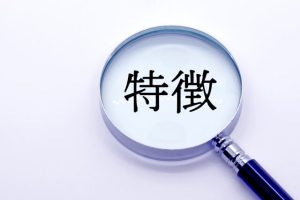 介護医療院の特徴