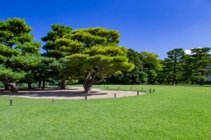 立地条件以外に確認すべきこと
