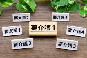 自立型ケアハウスとの違い