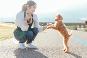 混合介護のメリット
