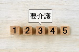 他の介護度との違い
