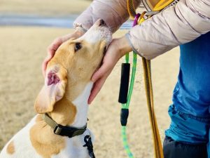 ナーシングホームとは医療ケアを提供する施設のこと