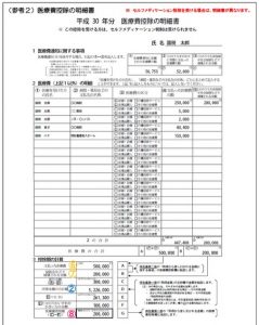 （参考2）医療費控除の明細書