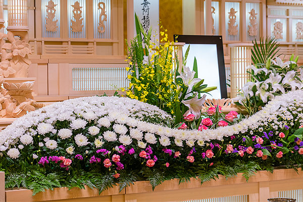 祭壇花例