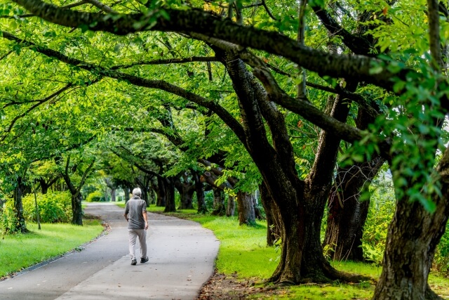 今日から始められる3つの認知症予防対策