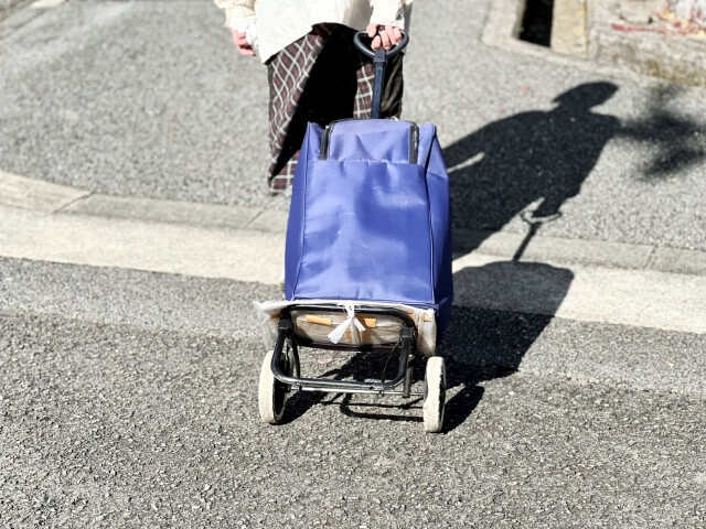 認知症で行方不明につながると考えられる主な原因