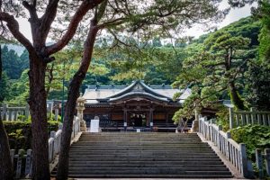 函館八幡宮での結婚式を叶える少人数・家族婚｜準備から当日までの完全ガイド