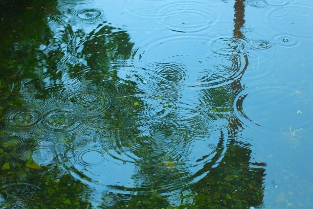 札幌 デート 雨の日はしっとり派orわいわい派?【30秒診断】